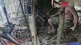 《澳洲小哥》野外求生第十九集原始技术之徒手建造—甘薯田的收获