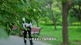 这么有趣?你所不知道的高铁小冷知识!