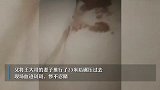 肇事司机当场逃逸！河北1家4口遇车祸：妈妈身亡3岁娃重伤