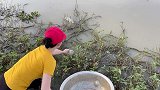 小姐姐钓白色大鲶鱼，感觉也太简单了吧