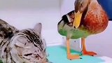 友谊的小船说翻就翻