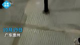 广东一男生当众表白，音响刚放上就被保安踢飞，网友霸气侧漏