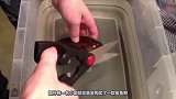 这只海马爸爸正在生孩子，像喷射发射器一样，真好玩儿
