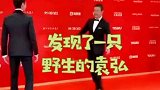 胡歌出席活动遇到袁弘，小跑过去的样子太可爱了，友谊地久天长啊