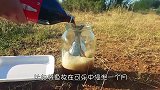 岩浆煮鸡蛋，老外将1000℃岩浆倒入鸡蛋盆，网友：吃饱了撑的