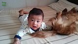 宝宝这是怎么了，看着这么惊恐，是不是吓到了啊！