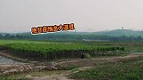 任嘉伦不愧是出过国超文集的男人，公主抱甘蔗竟脑补一出大戏