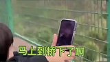女儿十几分钟的等待，只为喊一声爸爸