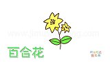 植物简笔画大全，画Q版百合花简笔画