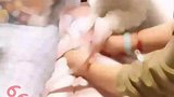 恋家情绪在这个时候会到达顶峰