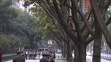 丈夫想寻回离家的妻子，她却另寻新欢，躲起来不见面也不协商！