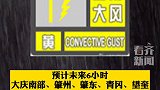黑龙江省气象台发布雷雨大风黄色预警信号