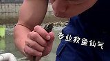 用最猛的肌肉做最萌的事，看消防员如何紧急救援，挽回小鱼生命…