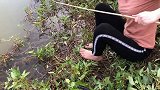 野塘边钓鱼，果然好货多多
