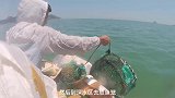 荒岛生存挑战，抓到鳗鱼与皮皮虾后，教你如何才能吃上椒盐皮皮虾
