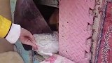 主人去世狗狗原地守候5年 每天望向主人来的方向
