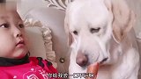 猫：你走开不要过来，我还想多活几天