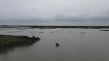 航拍济南白云湖，生态环境优美的国家湿地公园，休闲游玩的好去处