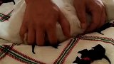 猫：我又不是面团，你揉我干啥啊！