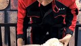 学会为狗狗检查体温家有萌宠过大年