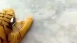 这是该有多大的惊喜啊……