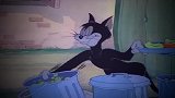 猫和老鼠：野猫一看就是吃货，逛垃圾堆还能逛出自助餐的感觉