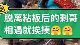 脱离粘板后相遇就挨揍