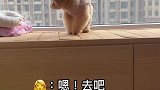 就是一个小盆友呀！真挚而单纯！
