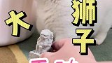 这么大的石狮子，无辜脸小盆友一口可以吃三个！