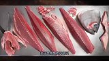 关于“刺身之王”金枪鱼冷知识，一辈子在游泳，为啥不能停下来？
