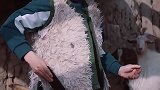 今天让嘟嘟曼高兴高兴，看看能高兴多长时间