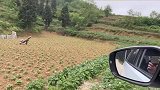 互联网让我们迷失了普通生活，该如何找回