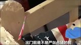 德牧拆床让它修好不然炖狗肉，白眼主人后独自修床，主人都服它！