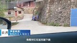 女子距家百米外鸣笛，家中狗狗飞奔出来迎接