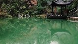 只有生活简单了，身心才能轻松；只有思想简单了，心灵才能宁静。