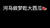 我可是济南野生动物世界第一吃瓜王！萌宠