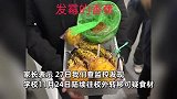 上海一学校学费8万食堂曝食材变质，家长：孩子呕吐腹泻，检查前学校还转移食材