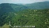 小伙子故意说有喜气杜蕾