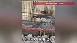四川男子在以色列工地月薪近4万，称美以伊冲突影响自己工作，打算再干两三年回家