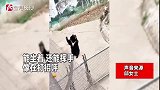 动物园黑熊能坐能站立，挥手打招呼引游客质疑是人扮的，真相意外
