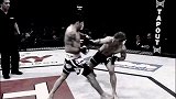 UFC-17年-UFC ON FOX 23倒计时：范詹特的勇士之道-专题