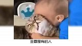 猫咪尊老爱幼，是真的吗？