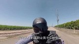 男子骑车时,惨被喜鹊“爆头”,这究竟是什么深仇大恨