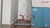 3名保安教室内抡棍打死流浪狗，很多学生亲眼目睹，校方否认开除