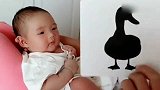 小宝宝才3个月，妈妈就让宝宝学习知识这样何止是赢在起跑线上