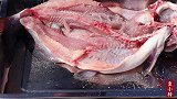 梭边鱼这做法5斤不够吃，原汁原味，肉嫩脱骨，越吃越想吃