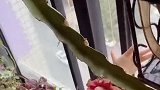防火防盗防小孩故意把果子放在高处，最后也难逃熊孩子魔爪