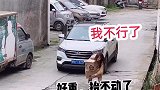 你们女生都是这样吗