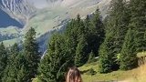 做“过山车”看阿尔卑斯山美景！