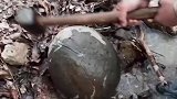 赶海捉海鲜，这个里边都是啥啊